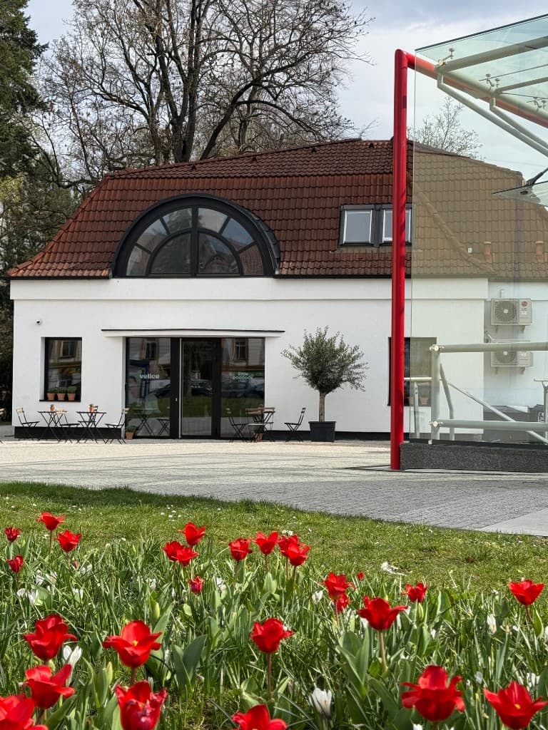 Velice × Little Paddock